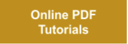 Screen Shot 2020-06-17 at 10.38.26 AM